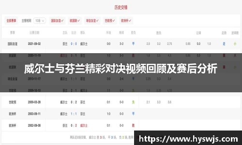 威尔士与芬兰精彩对决视频回顾及赛后分析